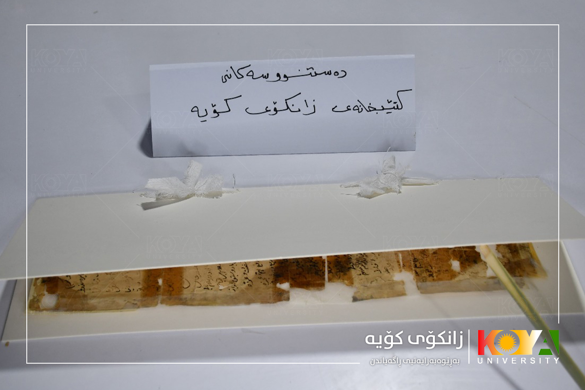 دوای ساغ کردنەوە و دیجیتاڵکردنی دەستنووسەکانی زانای گەورەی کورد "مەلای گەورە"  گەڕێندرایەوە زانکۆی کۆیە