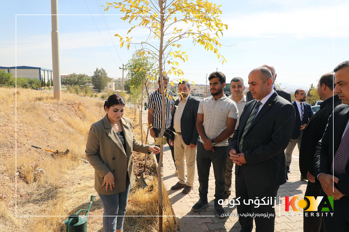 With the Presence of Koya University President, the "Plant a Tree and Grow with Koya University" Initiative Project Launched